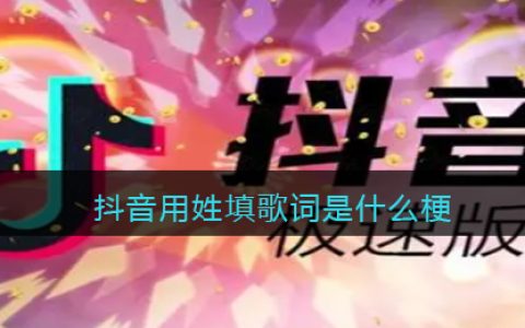 用姓填歌词是什么梗 抖阴用姓填歌词什么意思含义