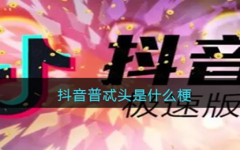 普忒头是什么梗 抖阴普忒头什么意思含义