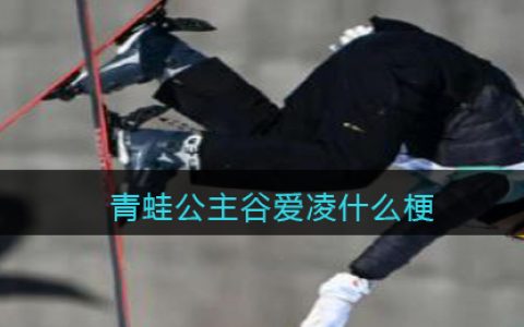 青蛙公主谷爱凌什么梗 抖阴青蛙公主什么意思含义