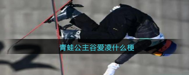青蛙公主谷爱凌什么梗 抖阴青蛙公主什么意思含义