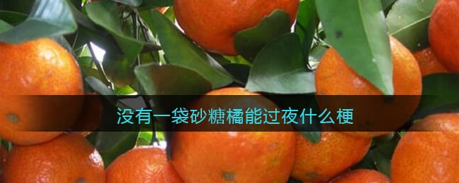 没有一袋砂糖橘能过夜什么梗 抖阴没有一袋砂糖桔能过夜什么意思含义