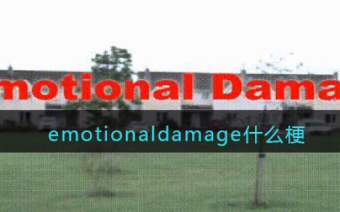 emotionaldamage什么梗 抖阴emotionaldamage是什么意思含义