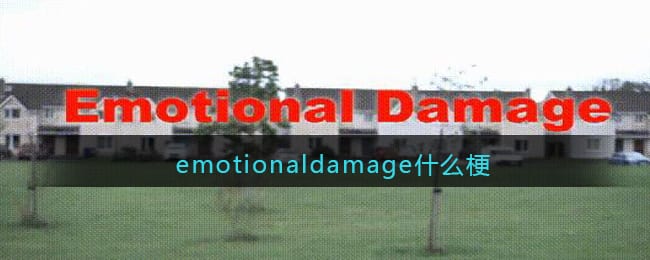 emotionaldamage什么梗 抖阴emotionaldamage是什么意思含义
