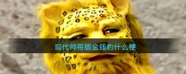现代帅哥版金钱豹什么梗 抖阴现代帅哥版金钱豹是什么意思含义