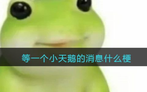 等一个小天鹅的消息什么梗/意思 抖阴热梗含义出处
