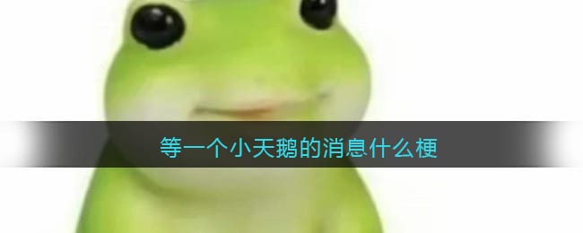 等一个小天鹅的消息什么梗/意思 抖阴热梗含义出处