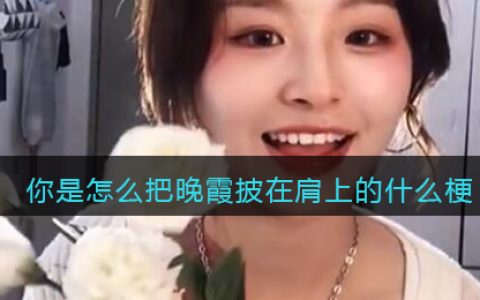 你是怎么把晚霞披在肩上的什么梗/意思 抖阴热梗含义出处