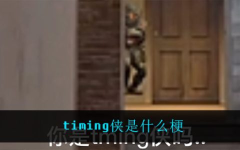 timing侠是什么梗 timing侠梗意思介绍