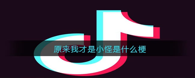原来我才是小怪是什么梗/意思 抖阴原来我才是小怪含义出处