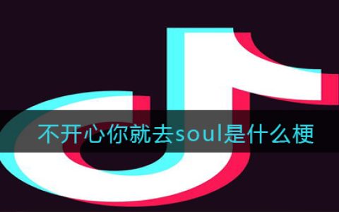 不开心你就去soul是什么梗/意思 抖阴不开心你就去soul含义出处