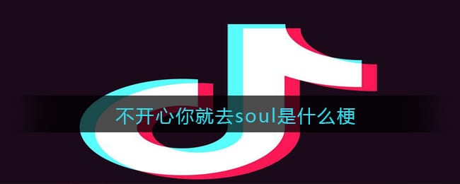 不开心你就去soul是什么梗/意思 抖阴不开心你就去soul含义出处