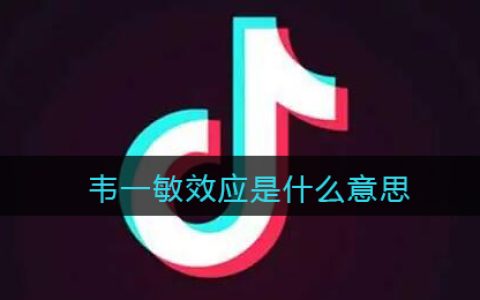 韦一敏效应是什么意思 抖阴韦一敏效应是什么梗含义出处