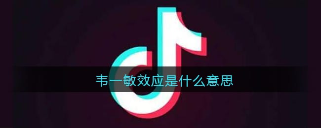 韦一敏效应是什么意思 抖阴韦一敏效应是什么梗含义出处