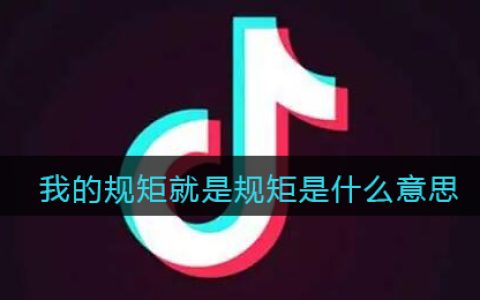 我的规矩就是规矩是什么意思 抖阴我的规矩就是规矩是什么梗含义出处