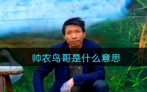 帅农鸟哥是什么意思 抖阴帅农鸟哥是什么梗含义出处