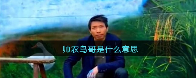 帅农鸟哥是什么意思 抖阴帅农鸟哥是什么梗含义出处