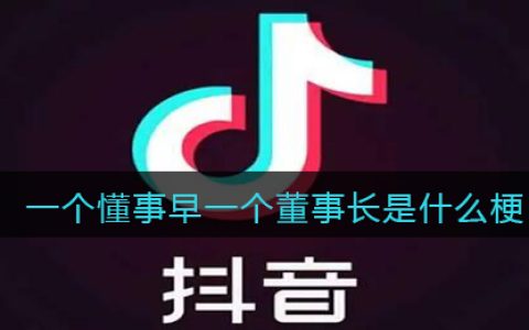 一个懂事早一个董事长是什么梗 抖阴一个懂事早一个董事长是什么意思含义出处