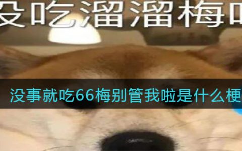 没事就吃66梅别管我啦是什么梗 抖阴没事就吃66梅别管我啦是什么意思含义出处