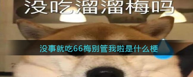 没事就吃66梅别管我啦是什么梗 抖阴没事就吃66梅别管我啦是什么意思含义出处