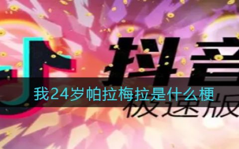 我24岁帕拉梅拉是什么梗 抖阴我24岁帕拉梅拉是什么意思含义出处