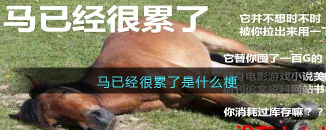 马已经很累了是什么梗 抖阴马已经很累了是什么意思含义出处