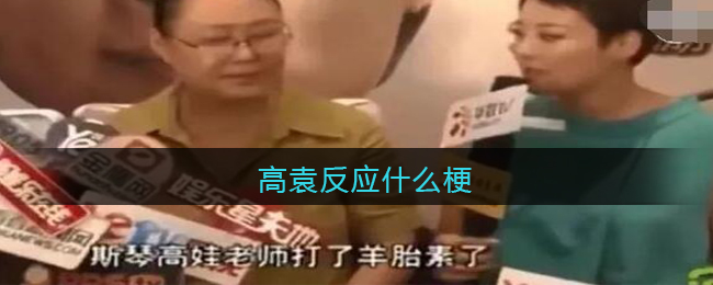 高袁反应是什么梗 高袁反应是什么意思含义出处图