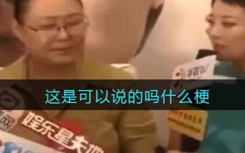 这是可以说的吗是什么梗 这是可以说的吗是什么意思含义出处