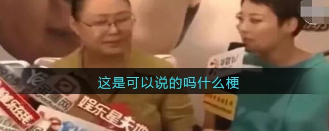 这是可以说的吗是什么梗 这是可以说的吗是什么意思含义出处