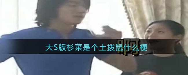 大S版杉菜是个土拨鼠是什么梗 大S版杉菜是个土拨鼠是什么意思含义出处