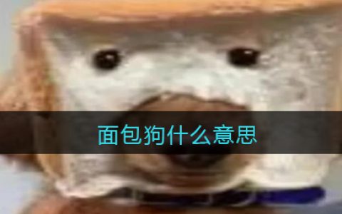 面包狗什么意思 面包狗什么梗含义出处