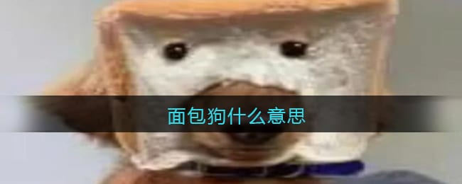 面包狗什么意思 面包狗什么梗含义出处