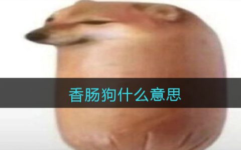 香肠狗什么意思 香肠狗什么梗含义出处