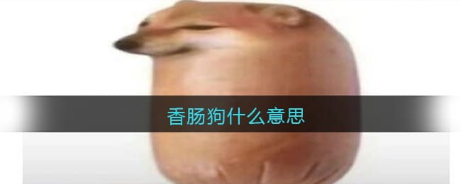 香肠狗什么意思 香肠狗什么梗含义出处