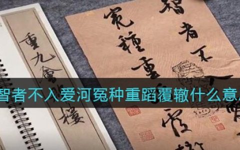 智者不入爱河冤种重蹈覆辙是什么梗 智者不入爱河冤种重蹈覆辙是什么意思含义出处