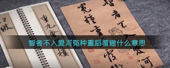智者不入爱河冤种重蹈覆辙是什么梗 智者不入爱河冤种重蹈覆辙是什么意思含义出处