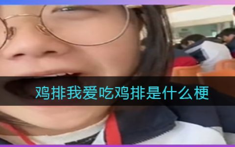 鸡排我爱吃鸡排是什么梗 鸡排我爱吃鸡排是什么意思含义出处