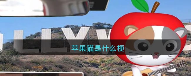 苹果猫是什么梗 苹果猫是什么意思含义出处