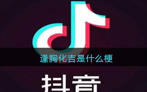 逢胸化吉是什么梗 逢胸化吉是什么意思含义出处