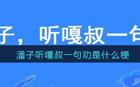 潘子听嘎叔一句劝是什么梗 抖阴潘子听嘎叔一句劝是什么意思含义出处