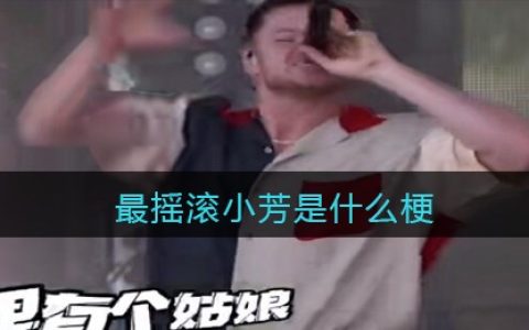 最摇滚小芳是什么梗 抖阴最摇滚小芳是什么意思含义出处