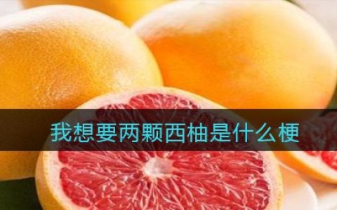 我想要两颗西柚是什么梗 抖阴我想要两颗西柚是什么意思含义出处
