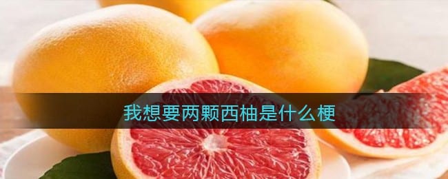 我想要两颗西柚是什么梗 抖阴我想要两颗西柚是什么意思含义出处