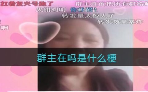 群主在吗是什么梗 抖阴群主在吗是什么意思含义出处