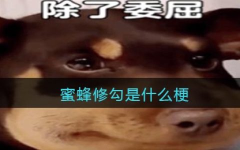 蜜蜂‌‌‌‌‌‌‌‌‌‌‌‌‌修勾是什么梗 抖阴蜜蜂‌‌‌‌‌‌‌‌‌‌‌‌‌修勾是什么意思含义出处