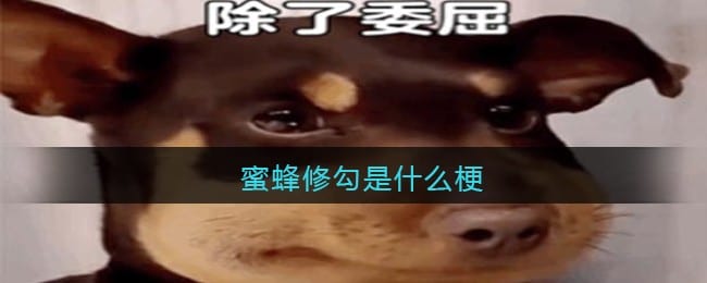 蜜蜂‌‌‌‌‌‌‌‌‌‌‌‌‌修勾是什么梗 抖阴蜜蜂‌‌‌‌‌‌‌‌‌‌‌‌‌修勾是什么意思含义出处
