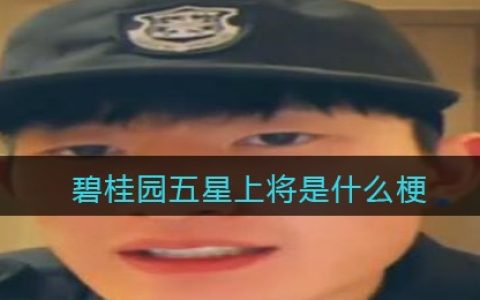 碧桂园五星上将是什么梗 碧桂园五星上将是什么意思含义出处
