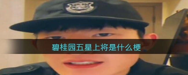 碧桂园五星上将是什么梗 碧桂园五星上将是什么意思含义出处