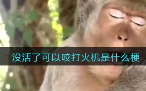 没活了可以咬打火机是什么梗 抖阴没活了可以咬打火机是什么意思含义出处