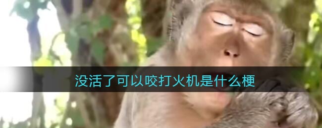 没活了可以咬打火机是什么梗 抖阴没活了可以咬打火机是什么意思含义出处