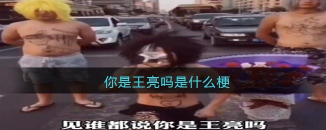 你是王亮吗是什么梗/意思 热梗含义出处